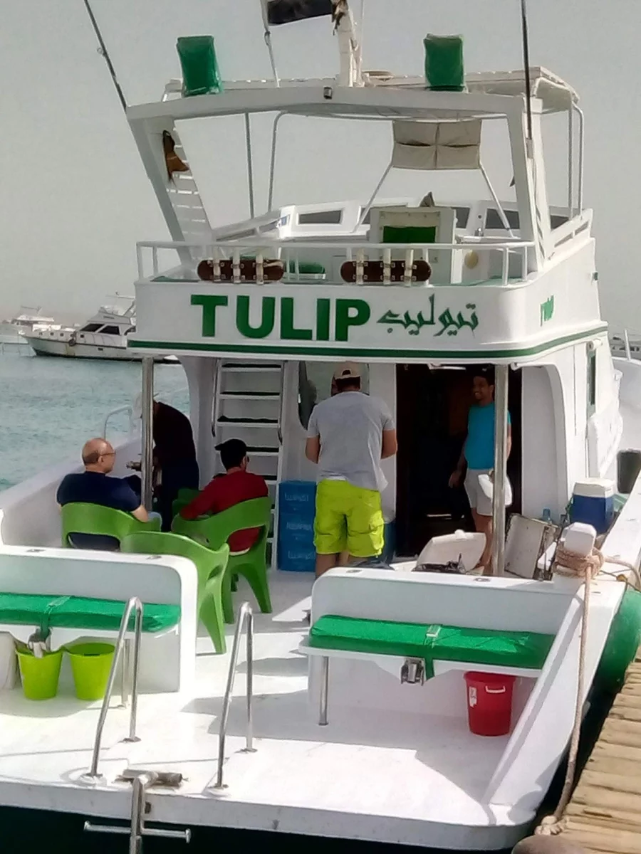 Power boat (Tulip)  - 2