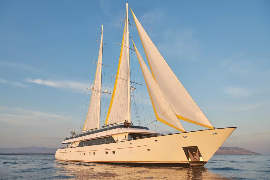Luxury Sailing Yacht Anima Maris (Anima Maris)  - 9