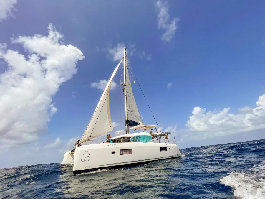 Lagoon 42 Owner's Version (Tango)  - 9