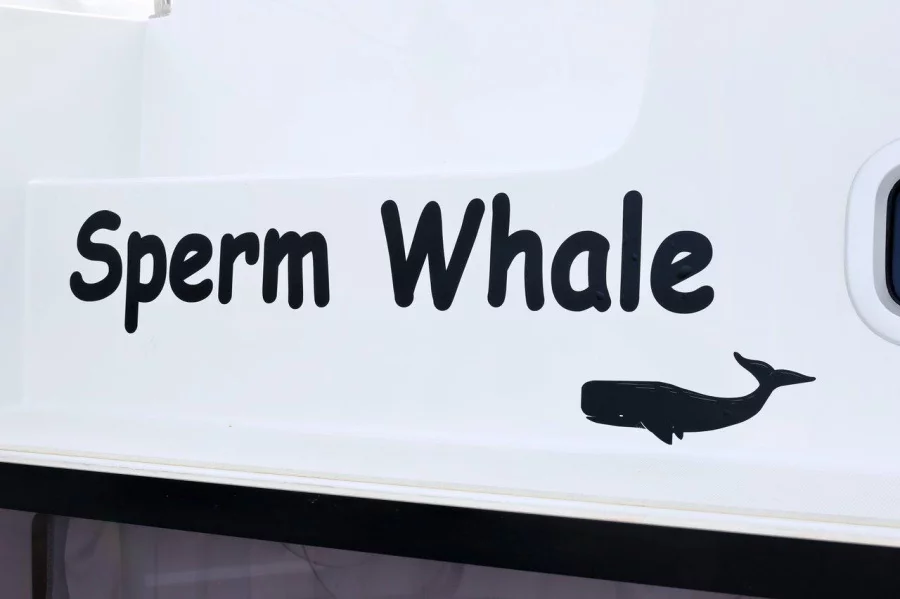 Lagoon 42 - 4 + 2 cab. (Sperm Whale)  - 19