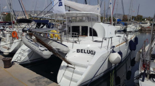 Beluga - 0