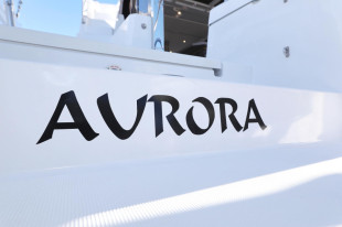 Aurora - 2