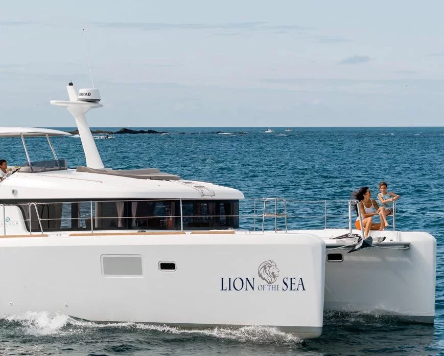 Lagoon 40 Power Catamaran (Lion of the Sea)  - 14