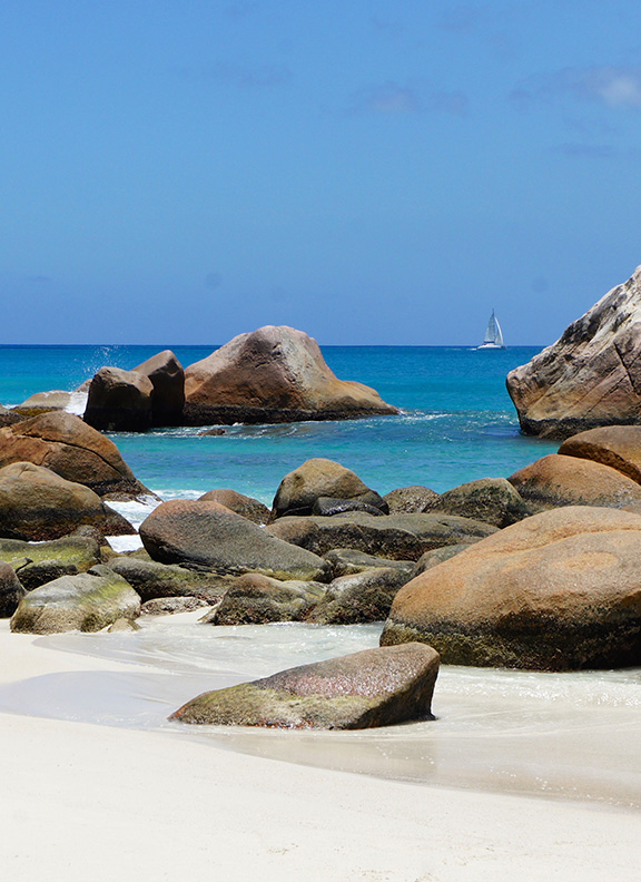 Seychelles cruise main